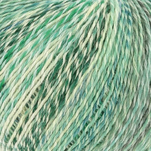 Load image into Gallery viewer, cotton wool blend sock yarn with marled colours
