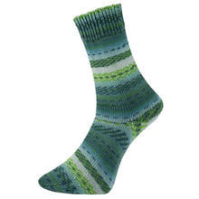 Load image into Gallery viewer, merino yarn for socks