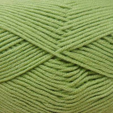 Load image into Gallery viewer, worsted weight merino yarn for knit and crochet