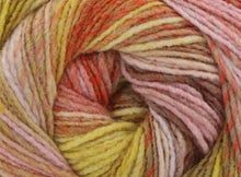 Load image into Gallery viewer, dk weight self striping yarn for knitting