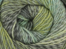 Load image into Gallery viewer, dk weight self striping yarn for knitting