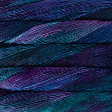 Load image into Gallery viewer, Malabrigo Arroyo