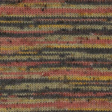 Load image into Gallery viewer, King Cole Homespun Prism DK