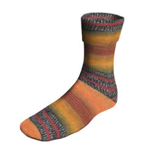 Load image into Gallery viewer, Lang Yarns dk 6 ply sock yarn