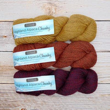 Load image into Gallery viewer, Estelle Alpaca and wool knitting yarn