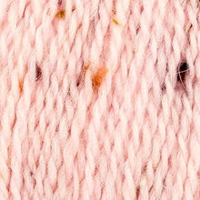 Load image into Gallery viewer, Jo's Yarn Garden Knitting Yarn