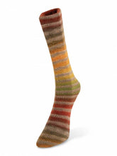 Load image into Gallery viewer, knitting wool sock yarn