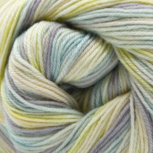 Load image into Gallery viewer, Cascade Yarns Heritage Prints 2023