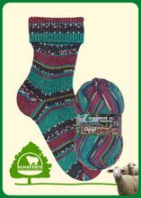 Load image into Gallery viewer, opal sock yarn for knitting