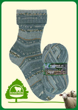 Load image into Gallery viewer, opal sock yarn for knitting