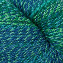 Load image into Gallery viewer, Jo's Yarn Garden knitting wool yarn