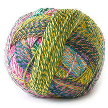 Load image into Gallery viewer, wool knitting sock yarn