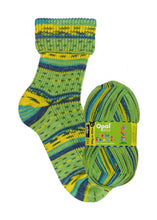 Load image into Gallery viewer, Jo's Yarn Garden wool knitting sock yarn