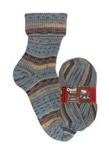 Load image into Gallery viewer, Jo's Yarn Garden wool knitting sock yarn