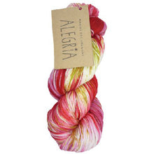 Load image into Gallery viewer, Merino nylon sock knitting yarn