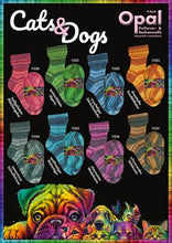 Load image into Gallery viewer, knitting wool sock yarn