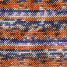 Load image into Gallery viewer, Arne &amp; Carlos Socks and More 4 Ply
