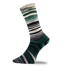 Load image into Gallery viewer, self striping sock yarn for knitting
