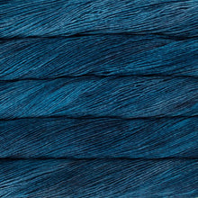 Load image into Gallery viewer, Malabrigo Arroyo
