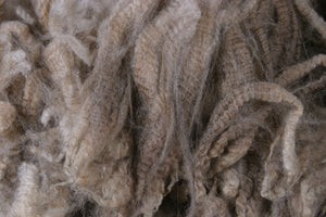 Wool Processing and Fiber Prep