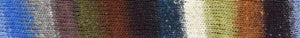 A skein of Noro Sonata Shima yarn in multicolor for knitting