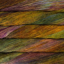 Load image into Gallery viewer, Malabrigo Arroyo
