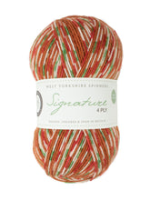 Load image into Gallery viewer, Christmas sock yarn for knitting

