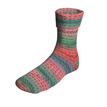 Load image into Gallery viewer, Jo&#39;s Yarn Garden wool sock Knitting yarn

