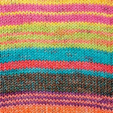 Load image into Gallery viewer, Jo&#39;s Yarn Garden knitting sock yarn
