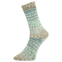 Load image into Gallery viewer, Jo&#39;s Yarn Garden Wool sock knitting yarn
