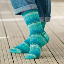 Load image into Gallery viewer, Jo&#39;s Yarn Garden knitting sock wool
