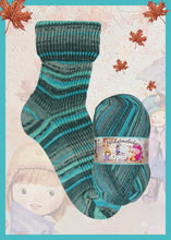 Load image into Gallery viewer, Jo&#39;s Yarn Garden knitting sock wool
