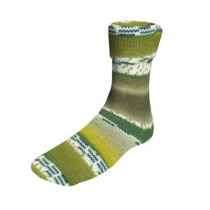 Lang Yarns dk 6 ply sock yarn