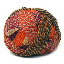 Load image into Gallery viewer, Jo&#39;s Yarn Garden wool knitting sock yarn
