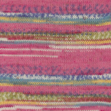 Load image into Gallery viewer, Jo&#39;s Yarn Garden knitting wool sock yarn
