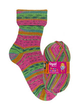 Load image into Gallery viewer, Jo&#39;s Yarn Garden wool knitting sock yarn
